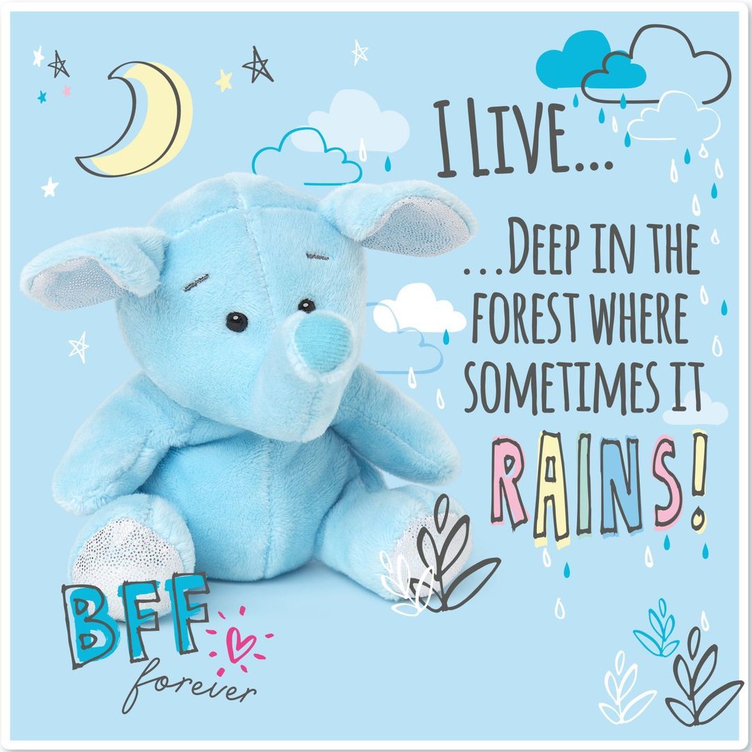 Toots the Elephant My Blue Nose Friend