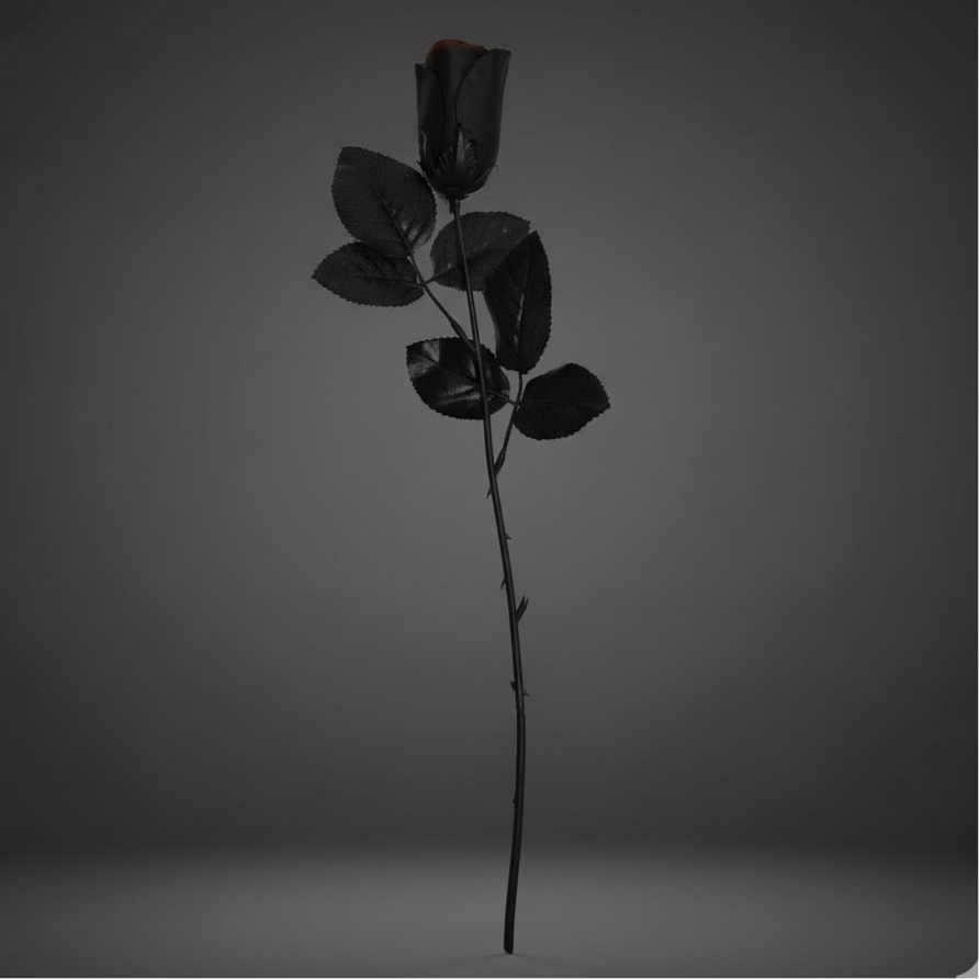 Black Rose with Red Glitter
