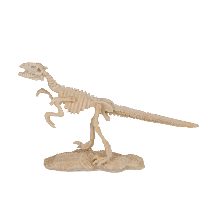 Dinosaur Skeleton Excavation Kit