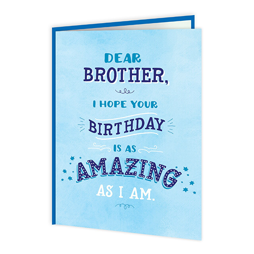 Amazing Brother - Monkey Monkey Cyprus