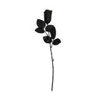 Black Rose with Red Glitter - Monkey Monkey Cyprus